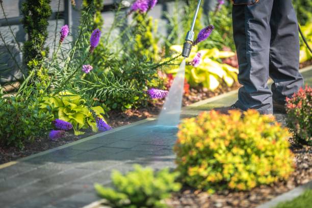 Best Pool Deck Cleaning  in Springville, IA