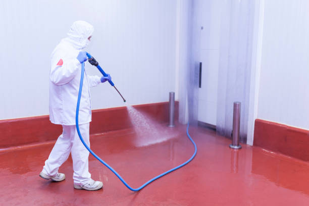 Best Driveway Pressure Washing  in Springville, IA