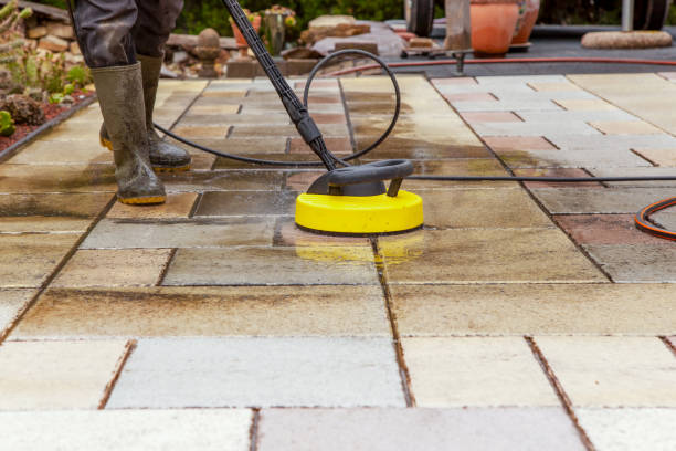 Best Factory Floor Cleaning  in Springville, IA